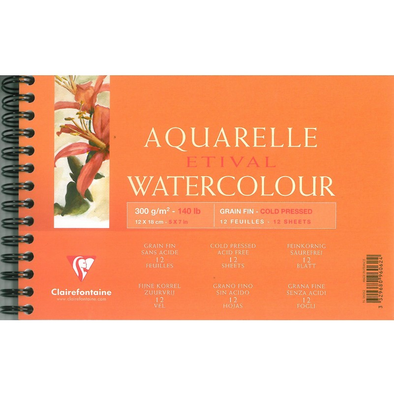 Bloc Clairefontaine Etival 300G