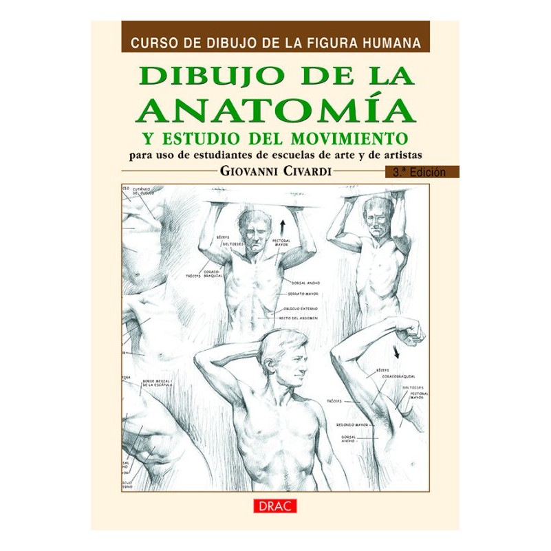 Disegno di anatomia