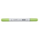 Rotuladores Copic Ciao