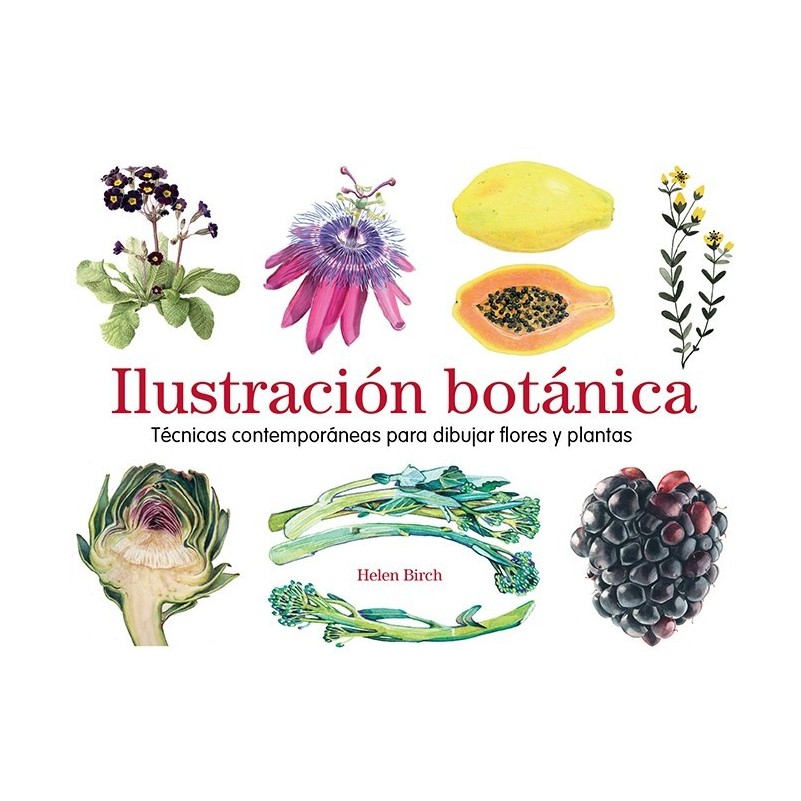 Illustrazione botanica