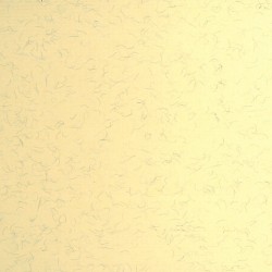 Paper Ingres Color Clairefontaine 130G