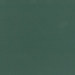 Ingres Carta a colori Clairefontaine 130G