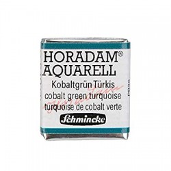 Aquarel·la 1/2 Godet Horadam