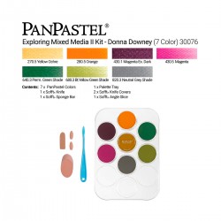 Sets 7 PanPastel + Sofft Tools