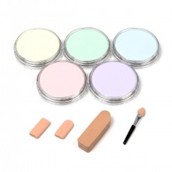 Sets 5 Panpastel + Sofft Tools