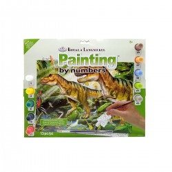 Set Paint by Numbers 13 pezzi