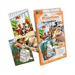 Set di numeri da dipingere 21 pezzi
