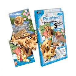 Set di numeri da dipingere 21 pezzi