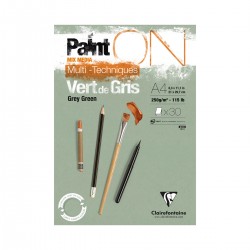 Bloc Paint'On Vert De Gris Clairefontaine