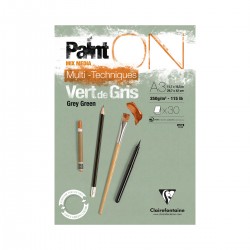 Bloc Paint'On Vert De Gris Clairefontaine