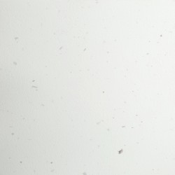 Papel Privat A4 100g Ca L'Olivé