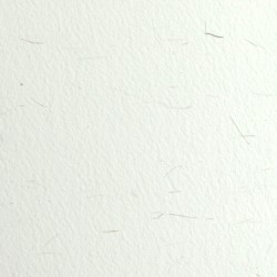 Carta privata A4 100g Ca L'Olivé