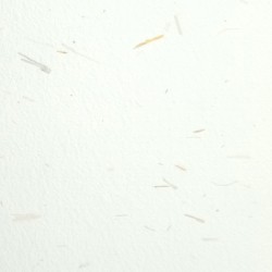 Papel Privat A4 100g Ca L'Olivé