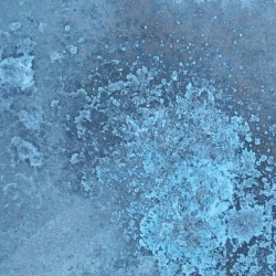 Antiossidante per il fiore di Cardenillo