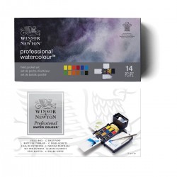 Capsa d'Exterior Aquarel·la Professional Winsor&Newton