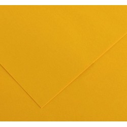 Cartolina Iris 240G 65 x 50