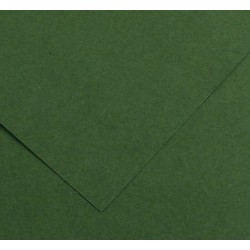 Cartone Iris 240G 65 x 50