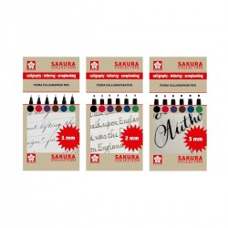 Sets Calligrapher Pigma Sakura | Casa Piera Bellas Artes Barcelona