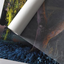 Carta Cristal 40G Canson 60x80cm