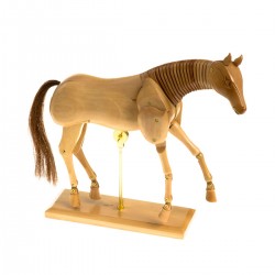 Maniquí Caballo Talens | Casa Piera Bellas Artes Barcelona