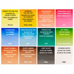 Caixa de Camp Plus Aquarel·la Cotman Winsor&Newton