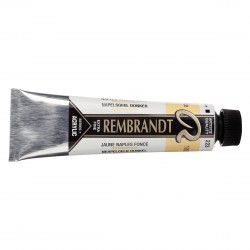 Acrilico Rembrandt 40 mL