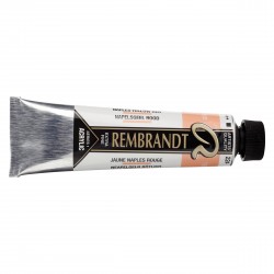 Acrilico Rembrandt 40 mL