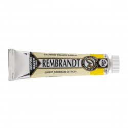 Acquerello Rembrandt