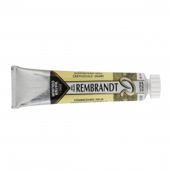 Acquerello Rembrandt