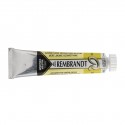 Acquerello Rembrandt
