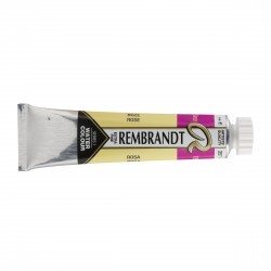 Acquerello Rembrandt
