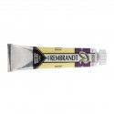 Acquerello Rembrandt