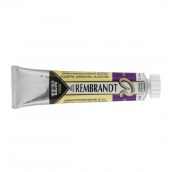 Acquerello Rembrandt