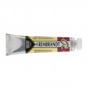 Acquerello Rembrandt