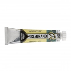 Acquerello Rembrandt