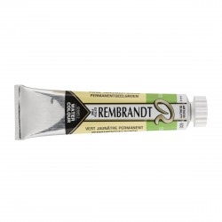 Acquerello Rembrandt