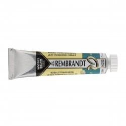 Acquerello Rembrandt