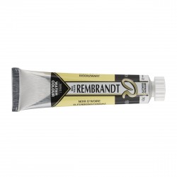 Acquerello Rembrandt
