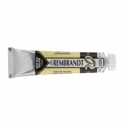 Acquerello Rembrandt