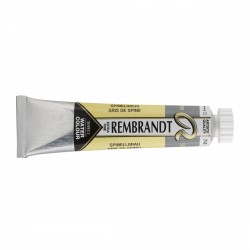 Acquerello Rembrandt