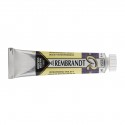Acquerello Rembrandt