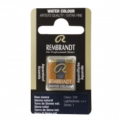 Acquerello Rembrandt