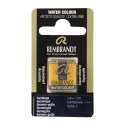Acquerello Rembrandt