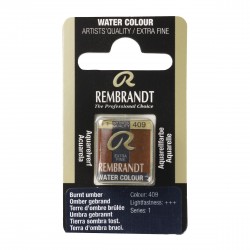 Acquerello Rembrandt