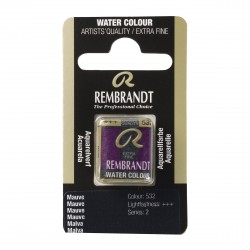 Acquerello Rembrandt