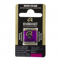 Aquarel·la Rembrandt