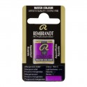 Acquerello Rembrandt