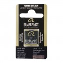 Acquerello Rembrandt