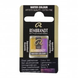 Acquerello Rembrandt