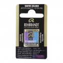 Acquerello Rembrandt